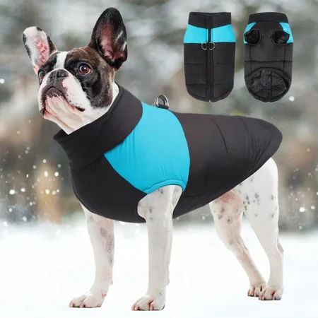 Veste imperméable pour animaux de compagnie