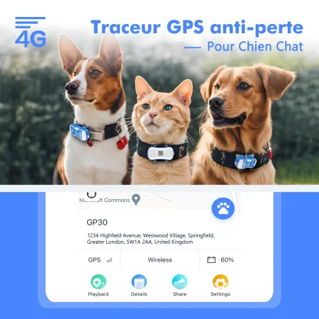 Traceur GPS 4G pour Chats et Chiens-suivi en temps réel et sécurité optimale