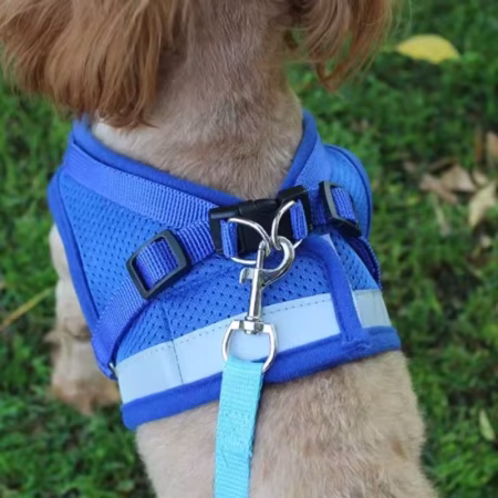Gilet harnais laisse réglable maille gilet  pour chien
